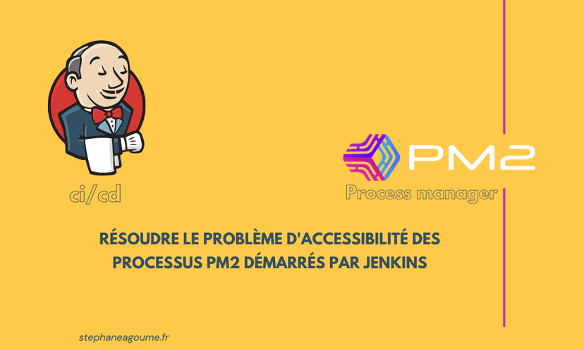 Résoudre le Problème d'Accessibilité des Processus PM2 Démarrés par Jenkins